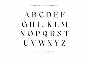 Bagtha Mendoneh Ligature Serif, a Serif Font by Cruzine (Thumbnail 6 of 9)