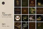 The Naturalist Social Media Bundle, a Social Media Template by The Flossy Finch (Thumbnail 22 of 22)
