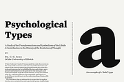 Maine -Book Antiqua Family, a Serif Font by Fenotype (Thumbnail 7 of 11)