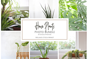 Living with Plants Photo Bundle