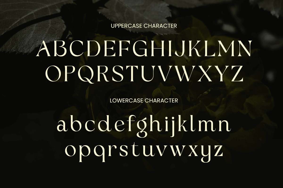Bulgaria Modern Unique Swash Luxury, a Serif Font by Sensatype (Photo 10 of 12)