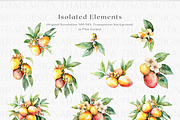 Watercolor Mango Clipart, a Decorative Illustration by ThaismotaCreativeCo (Thumbnail 8 of 10)
