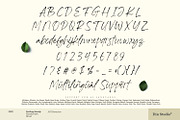 Feeling Steady, a Script Font by din-studio.com (Thumbnail 6 of 10)