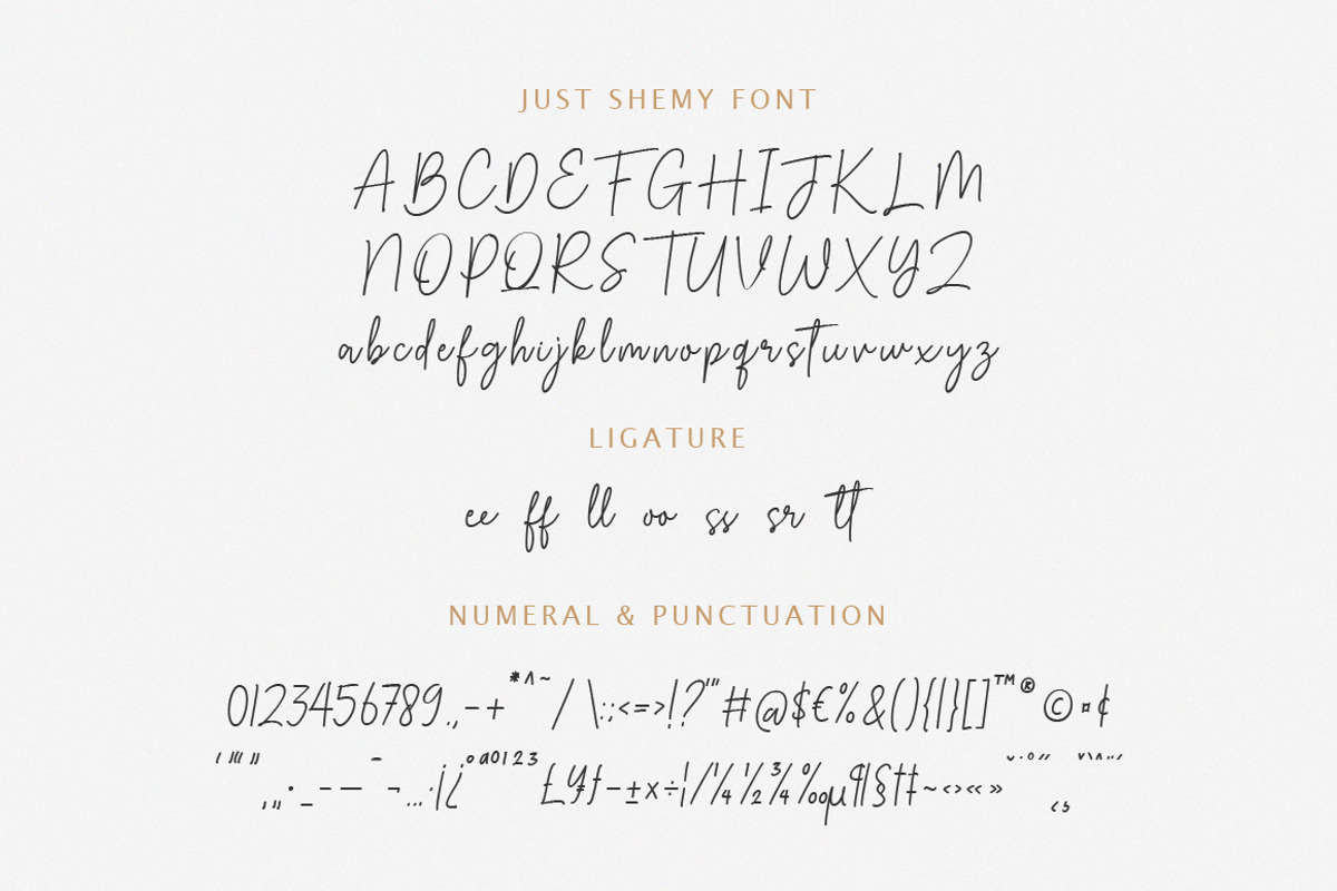 Just Shemy Signature Script Font, a Script Font by Typebae (Photo 6 of 7)