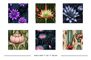 Cactus Flower Retro Art Designs, a Pattern Graphic by karenfoleyphoto (Thumbnail 4 of 18)