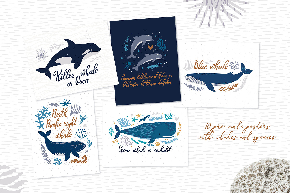 Cute Whales. Characters & patterns, an Animal Illustration by MagicForestory (Photo 11 of 12)