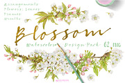 Blossom - Design Pack!, an Illustration by watercolorwild.graphics (Thumbnail 1 of 9)