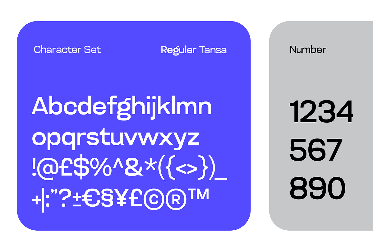 Tansa – UI Interface Sans Font, a Sans Serif Font by Drizy (Photo 3 of 10)