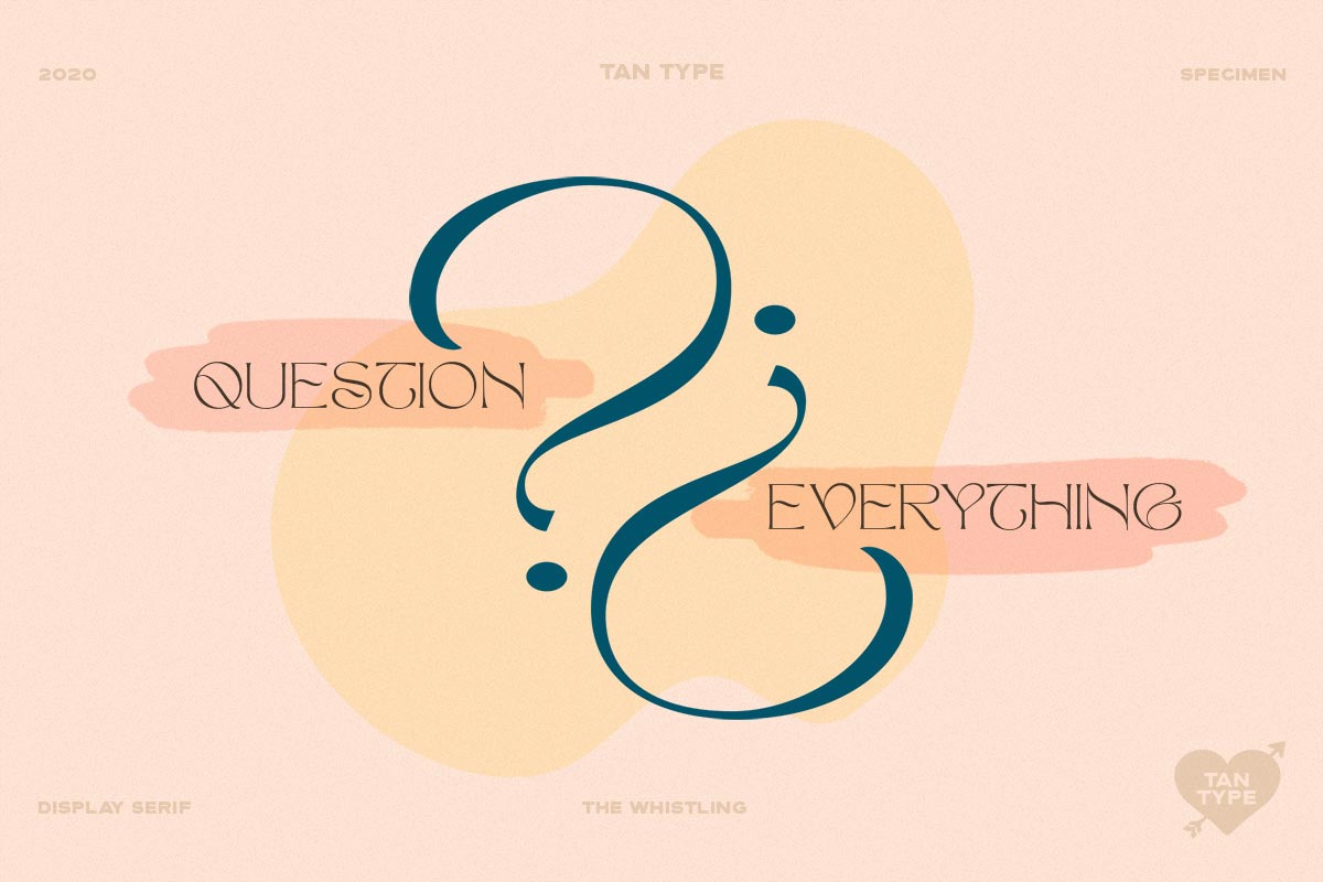 TAN - The Whistling, a Serif Font by TanType (Photo 17 of 35)