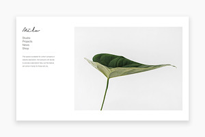 Milo - Portfolio WordPress Theme