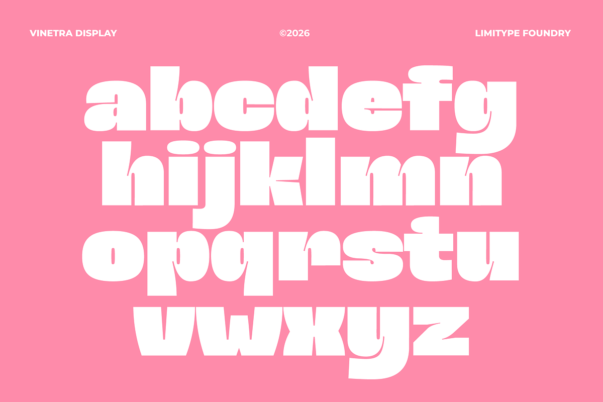 Vinetra - Bold Font, a Sans Serif Font by limitype (Photo 6 of 11)