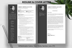 Professional Resume Template/ CV