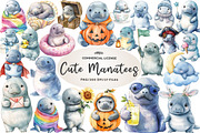 Cute Baby Watercolor Manatees Clipar, an Illustration by CreationArt (Thumbnail 1 of 5)