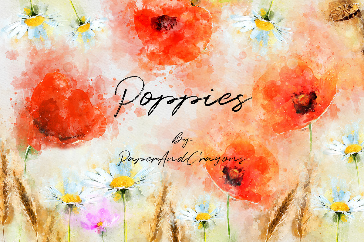 Watercolor Poppies, an Illustration by PaperAndCrayons (Photo 1 of 5)