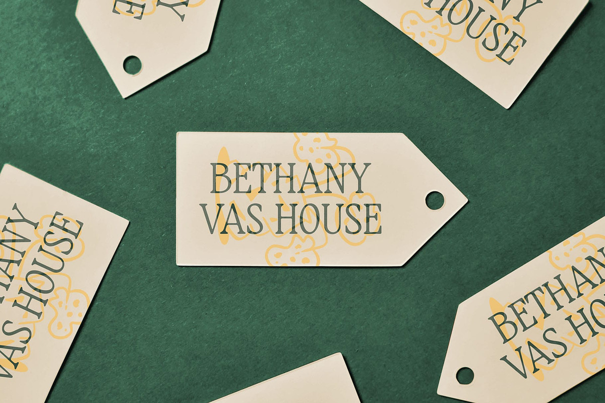CS Melisa – Elegant Font, a Serif Font by Craft Supply Co. (Photo 6 of 8)
