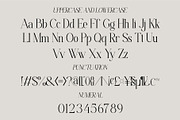 Ficoria || Modern Serif Font, a Serif Font by Idea Studio (Thumbnail 7 of 10)