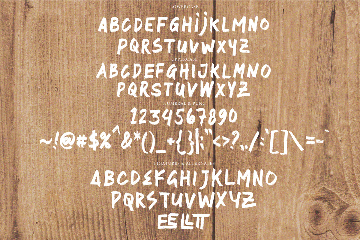 Sertter - Handwritten Brush, a Handwritten Font by tebaltipislab (Photo 6 of 7)