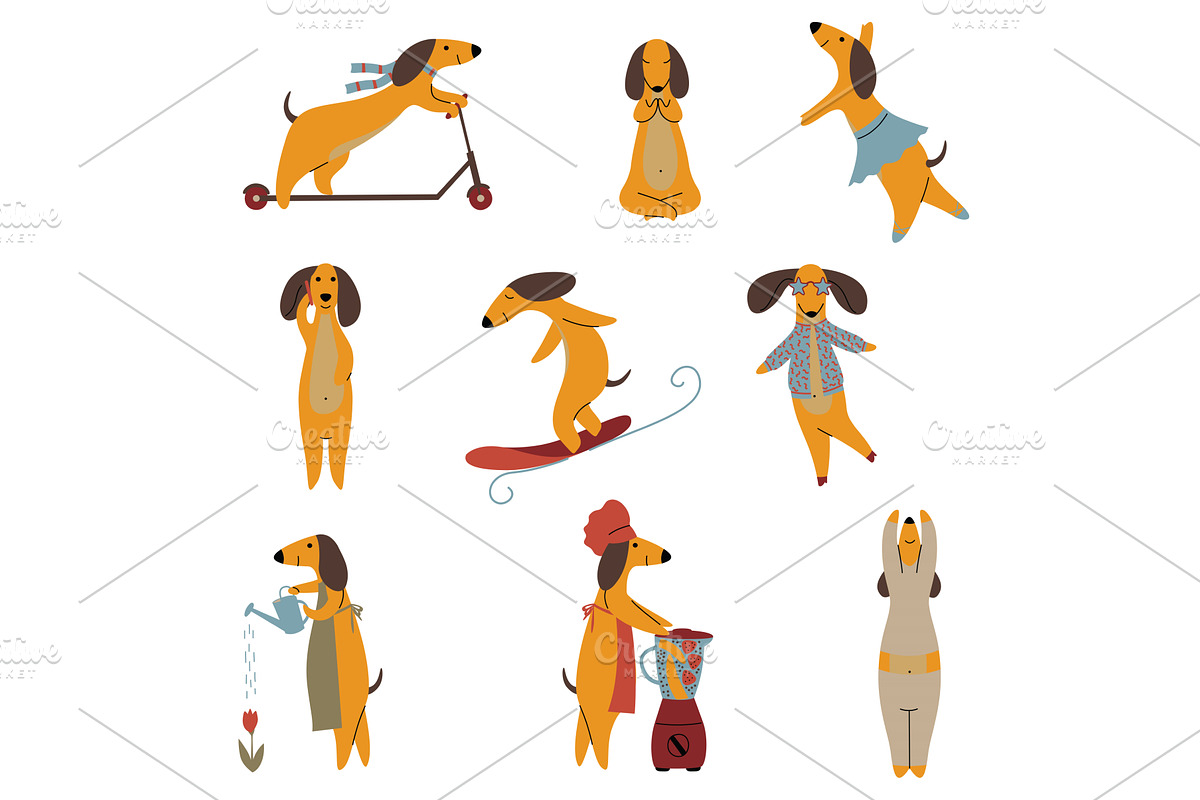 Purebred Brown Dachshund Dog Set, an Animal Illustration by TopVectors