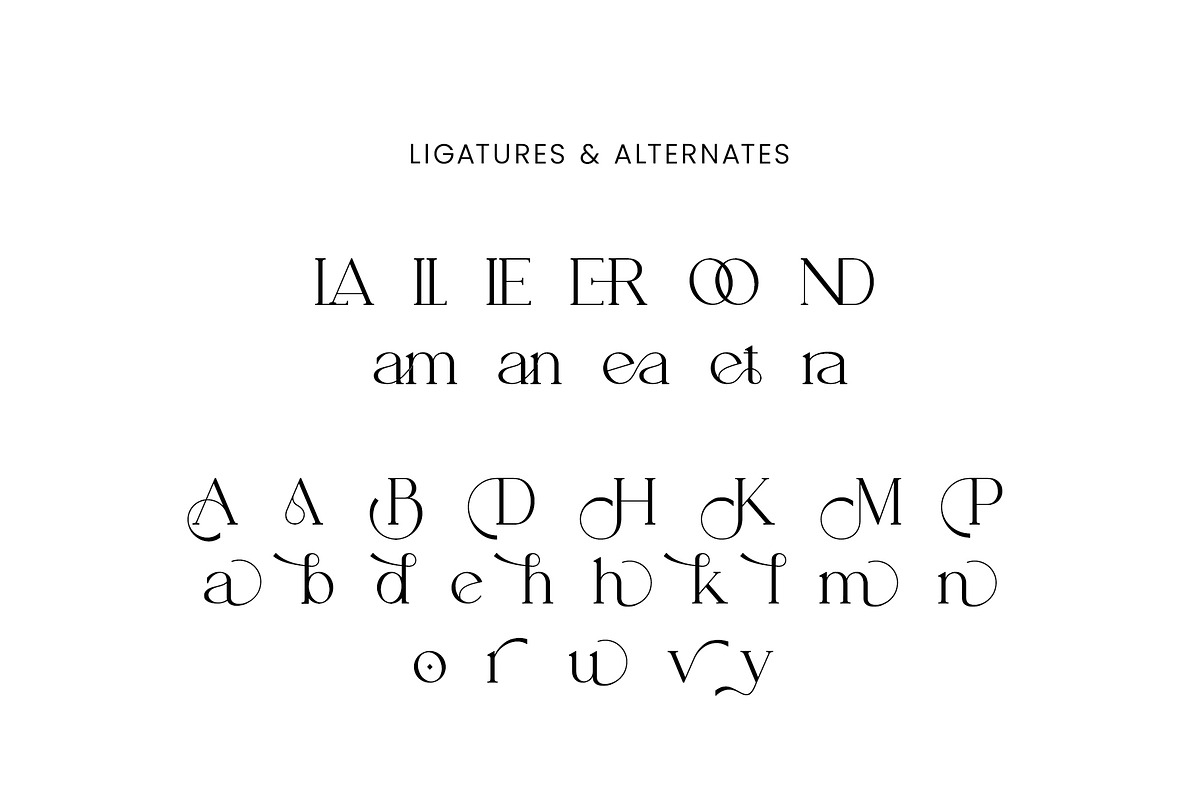 Brolyn Modern Serif Font, a Serif Font by Slide Shoot (Photo 9 of 11)