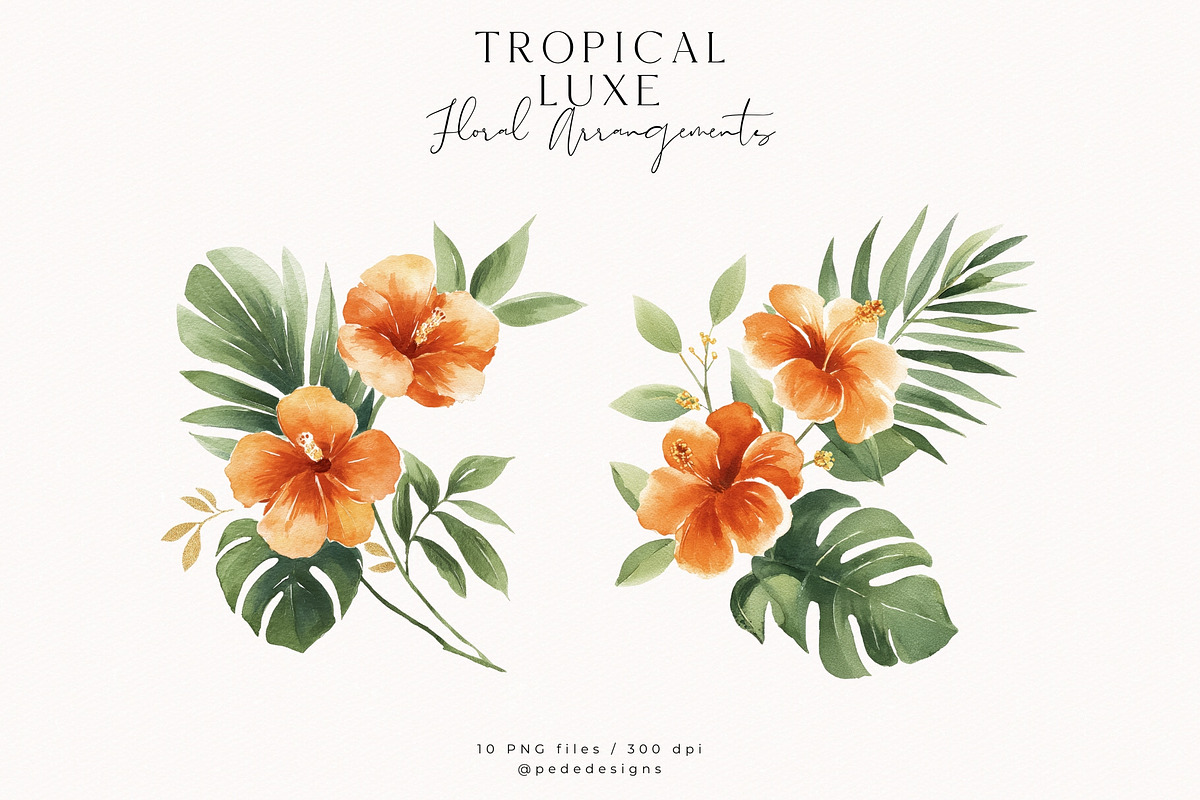 Tropical Luxe Collection, an Illustration by PeDe Designs (Photo 16 of 28)
