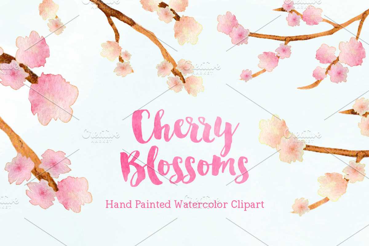 Cherry Blossoms Watercolor Clipart, an Illustration by Emerald & Ivy Studios (Photo 1 of 3)