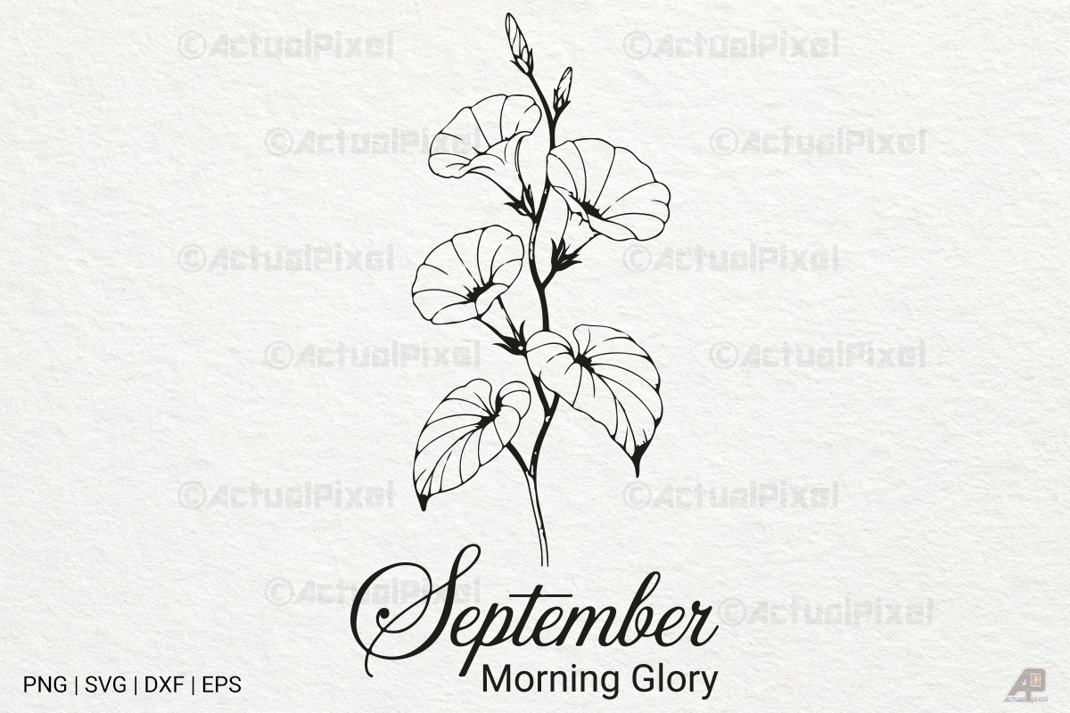 Birth Month Flowers SVG PNG Bundle, an Illustration by Actual Pixel (Photo 6 of 24)