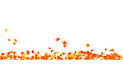 Autumn Leaves Border Set, a Decorative Illustration by Pavel Vectors (Thumbnail 2 of 8)