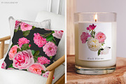 PNG Floral clipart collection, an Object Graphic by Imageblend (Thumbnail 5 of 8)