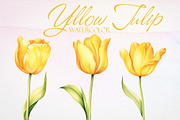 Watercolor Yellow Tulip Vector Set, a Decorative Illustration by Deckar_art (Thumbnail 1 of 4)