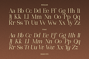 Elian Covaire Modern Elegant Font, a Serif Font by Rasio Studio (Thumbnail 2 of 10)