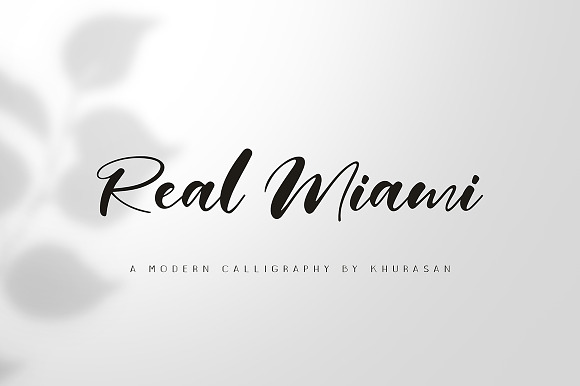 Real Miami Script