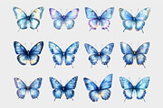 Watercolor Butterflies Clipart, a Seasonal Illustration by Design Market (Thumbnail 4 of 5)