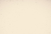 Vintage old map, a Texture Illustration by AlexZeL (Thumbnail 3 of 3)