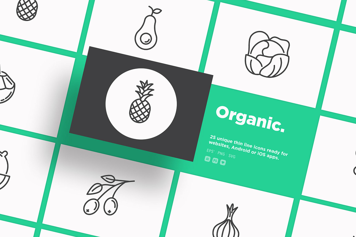 Organic | 25 Thin Line Icons, an Outline Icon by Alex Blogoodf (Photo 1 of 15)