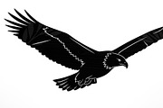 Powerful eagle flying wall art desig, an Illustration by Amazin_art (Thumbnail 2 of 31)