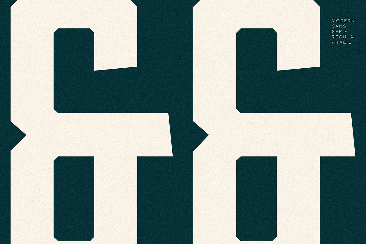 Smith Buck Modern Sans Serif, a Sans Serif Font by Storytype Studio (Photo 6 of 15)