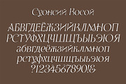 Swansea Cyrillic Font, a Serif Font by Mysterylab Designs (Thumbnail 7 of 8)