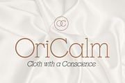 Gracessencia - Modern Elegant Luxury, a Serif Font by Qweera Studio (Thumbnail 4 of 13)