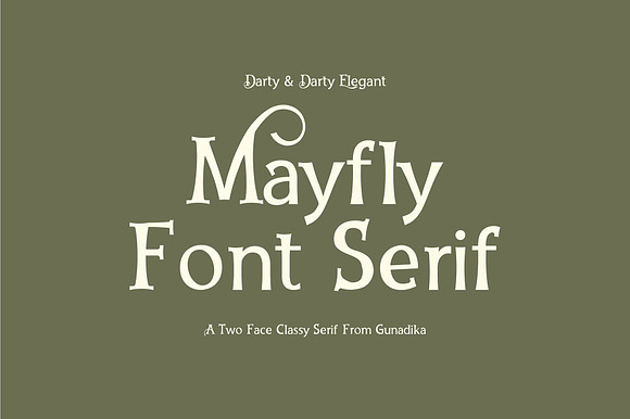 Font Serif Darty preview 5