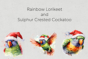 Christmas Australian Native Birds, a Seasonal Illustration by Pawcasso's Portraits (Thumbnail 5 of 9)
