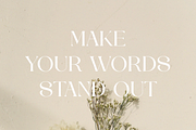 CHAREN || a modern display serif, a Serif Font by ToniStudio (Thumbnail 9 of 9)