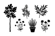 50 Botanical Garden Silhouette bundl, an Illustration by Designs_River (Thumbnail 38 of 51)