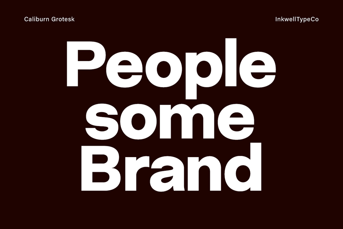 Caliburn Grotesk | Modern Variable, a Sans Serif Font by InkwellTypeCo (Photo 4 of 15)