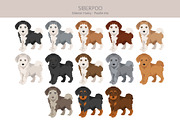 Siberpoo (Siberian Husky Poodle mix), an Animal Illustration by pet design shop (Thumbnail 4 of 6)