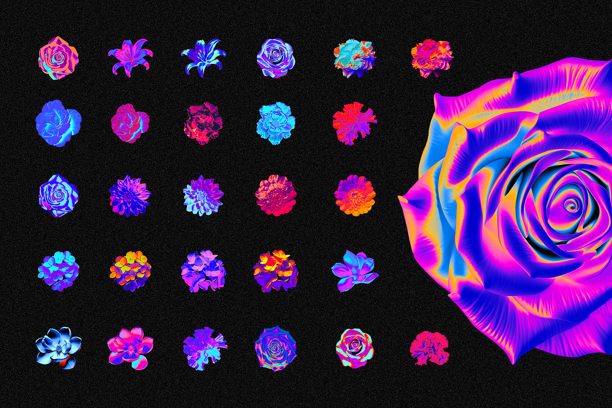 Pulse 250 PNG Collage Creator, an Object Graphic by Graphicdome (Photo 11 of 22)