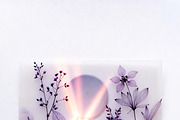 ETARA Healing Glow Brush Pack, a Brush Add-On by ETARA by Mea Hau (Thumbnail 14 of 18)