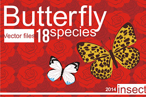 18 Species Butterfly