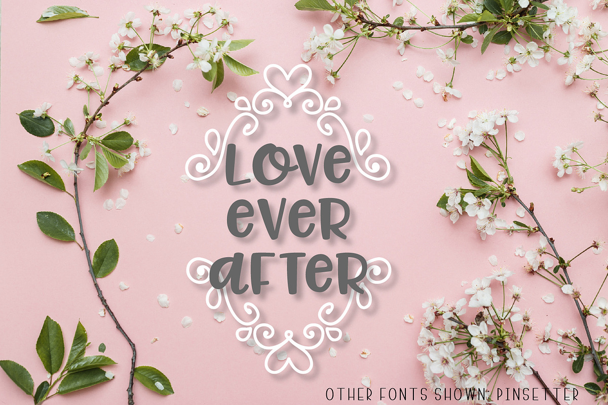 Ornament Font - Hand Drawn Swooshes preview 5