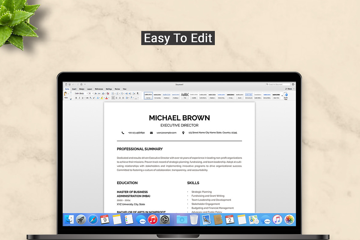 Executive Director Resume Template, a Resume Template by ResumeInventor (Photo 5 of 9)