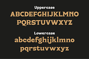 Asong Display Serif Font, a Serif Font by PeanutButter Type (Thumbnail 3 of 5)